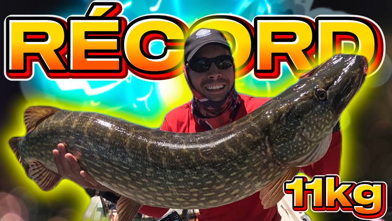 ⚠️𝐏𝐄𝐒𝐂𝐀 𝐋𝐔𝐂𝐈𝐎 𝐑É𝐂𝐎𝐑𝐃 𝟏𝟏𝐤𝐠⚠️