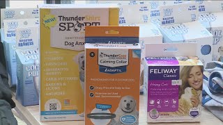 Keeping pets at ease during 4th of July fireworks