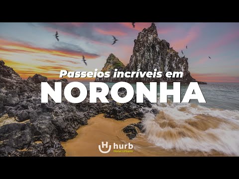 Fernando de Noronha | Você precisa fazer esses passeios incríveis em Noronha