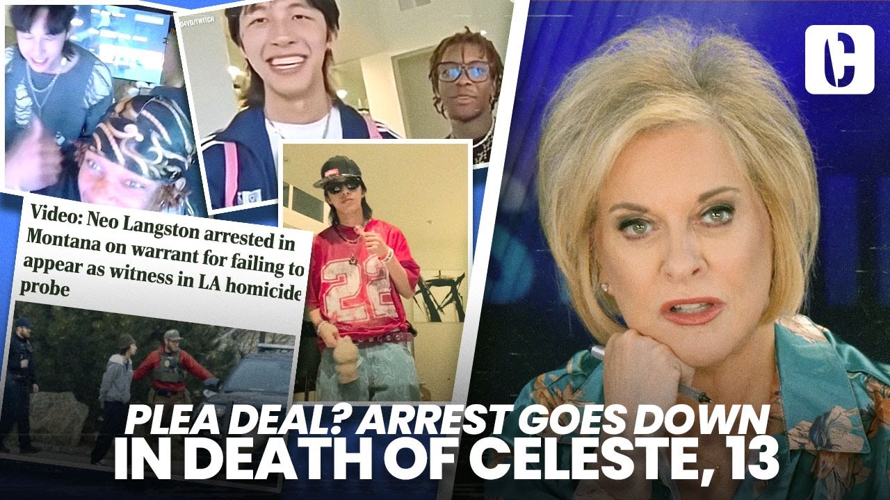 СДЕЛКА О ПРИЗНАНИИ ВИНЫ? D4VD 