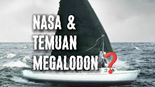 NASA & TEMUAN MEGALODON❓