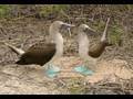 Reiseberichte  ecuador  galapagos inseln