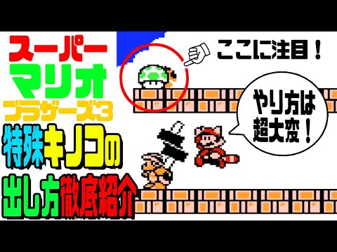 マリオ3】 ここでしか取れない （黄金）1up！を紹介！【スーパーマリオ