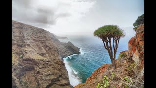 La Palma 2022 [4k travel video]