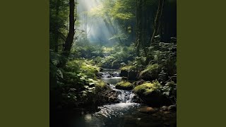 Tranquil Waters for Mindful Focus