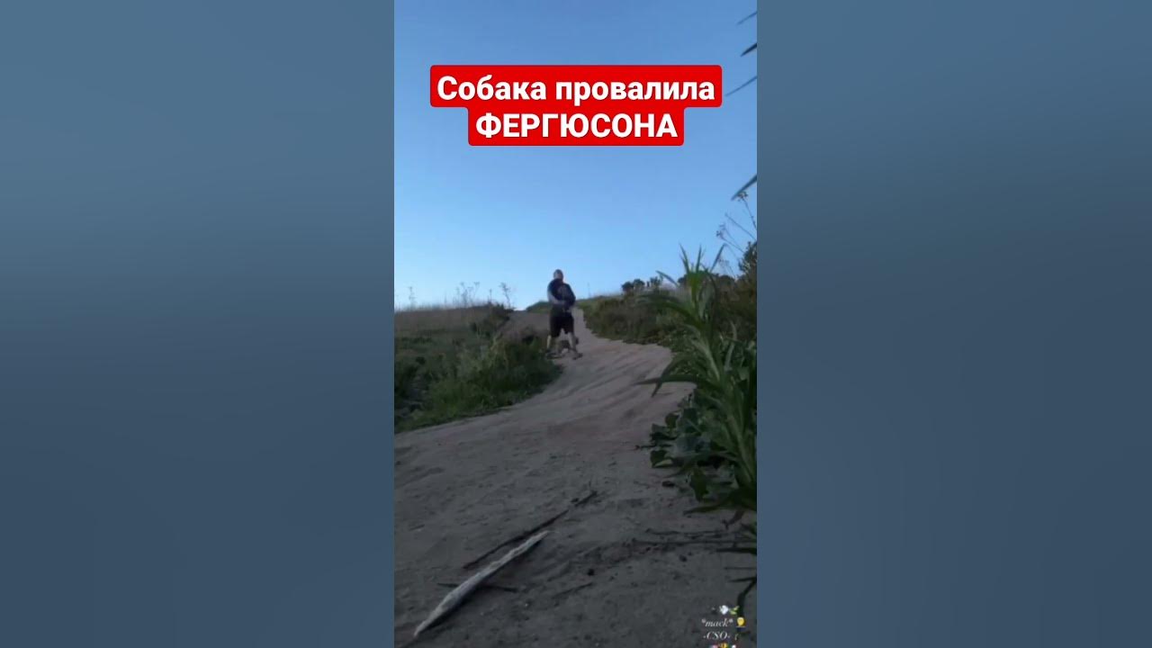 Тони Фергюсон споткнулся о собаку и упал во время пробежки 😁🤷🏻‍♂️# ...