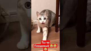 Молоко Поставь Тут 😂 #Лучшее