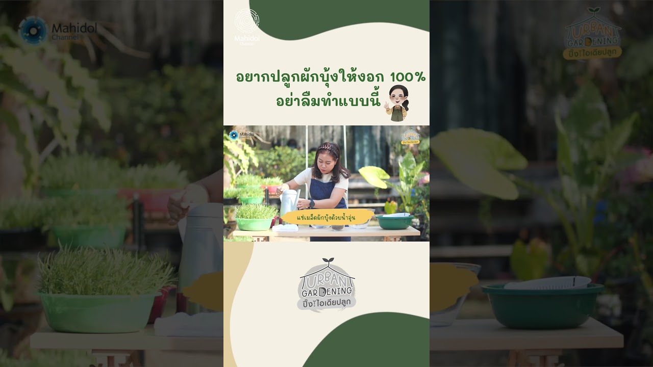 อยากปลูกผักบุ้งให้งอก 100% อย่าลืมทำแบบนี้ | Urban Gardening