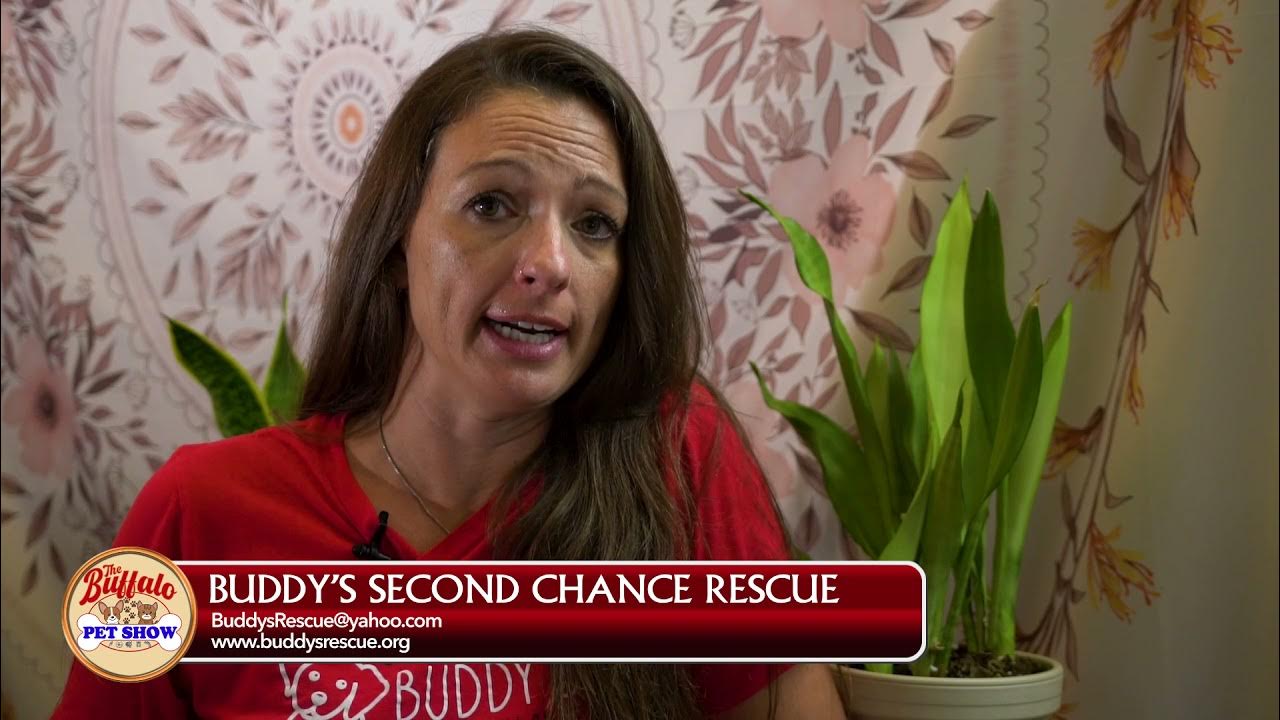 Buddy's Second Chance Rescue YouTube