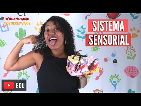 Vídeo: Diferença Entre Vertente Sensorial E Anti-sentido