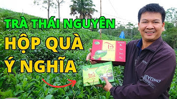 Trà tân cương Thái Nguyên ngon làm quà tặng biếu lễ tết