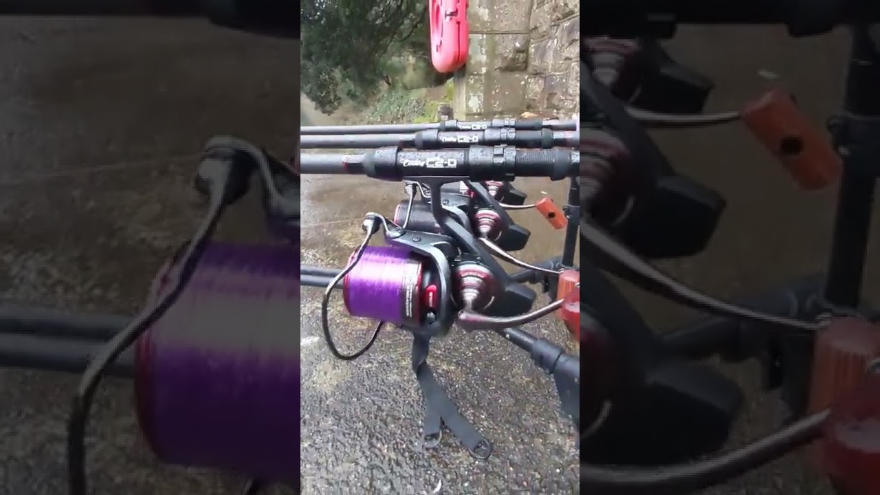 Daiwa Basia Tournament 45 SCW QD & Century C2-D Rods Carp Fishing