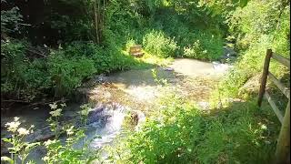 Ferienwohnungen Reinbacher in Gröbming/Winkl | Natur, Bachlauf & Erholung in der Steiermark