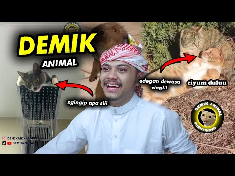 BAHAYA JUGA INI MENGNYA 🗿🗿🗿Reaction Demik Animal