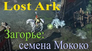 Семена Мококо в Загорье Lost Ark