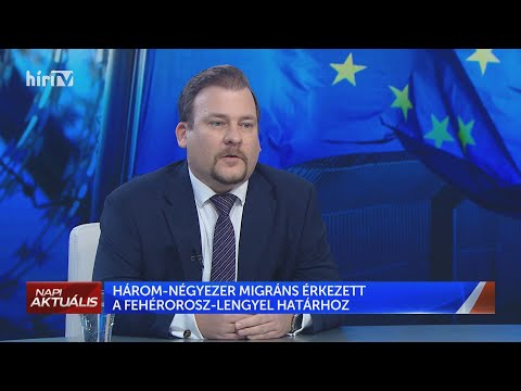 Videó: Hogyan állítsunk Be Egy NTV ételt