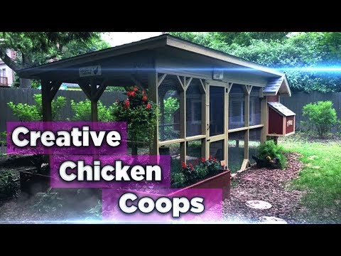 105-creative-chicken-coops-you-need-in-your-backyard---chicken-yard-ideas---chicken-coops