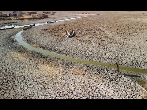 من أرض وفيرة بالمياه إلى يابسة قاحلة أهوار العراق تستسلم للجفاف