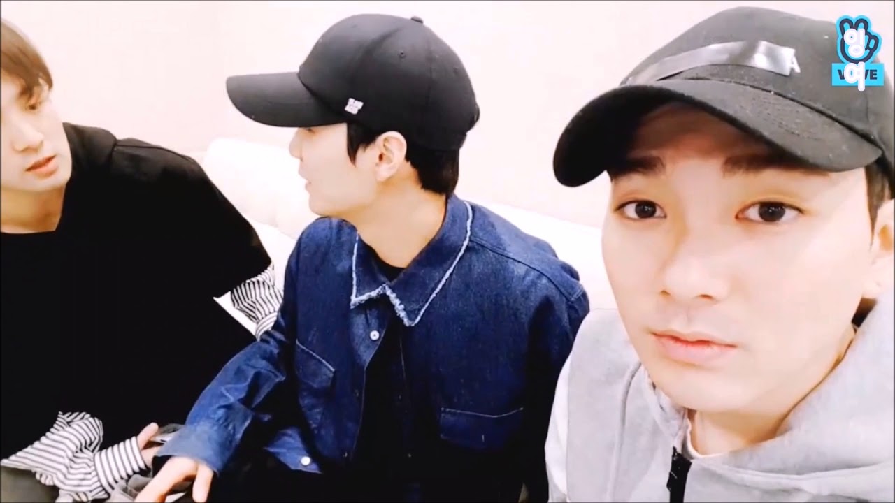 어르고 달래고 투닥대는 쩨알 백호 (feat.아론)