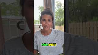 Sustainable Palo Santo: 100% Eco-Friendly Wood Explained #shorts