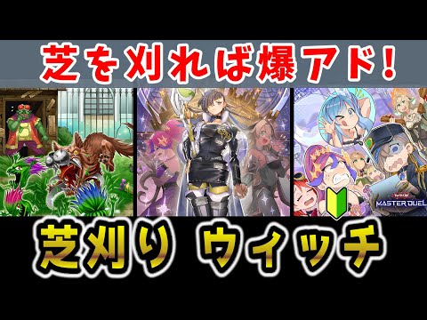 ＃433　遊戯王お試しデッキ/芝刈り推理ゲート財宝ウイッチクラフト/EX15枚 433 遊戯王お試しデッキ/芝刈り推理ゲート財宝ウイッチクラフト