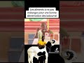 Le secret d’une bonne alimentation Ladoum : ne mélangez jamais ces aliments #goat #ladoum #animals 