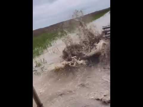 Farming in Louisiana is tough