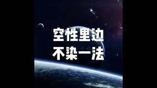 201707 空性里边不染一法23142