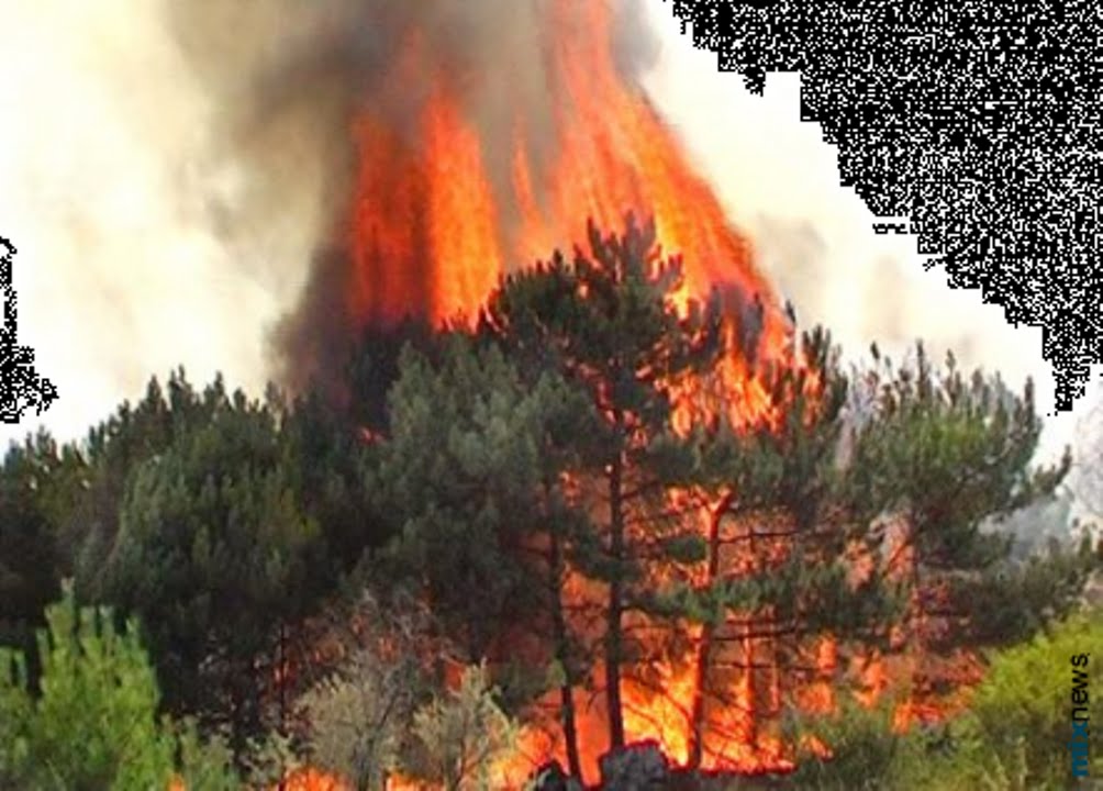 Реферат: Землетруси вулкани селі пожежі повені пожежі