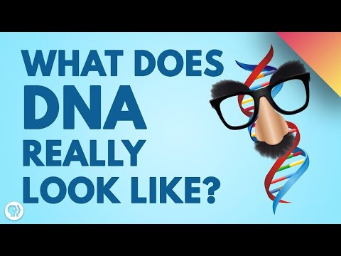 Video: Existují fotografie DNA?