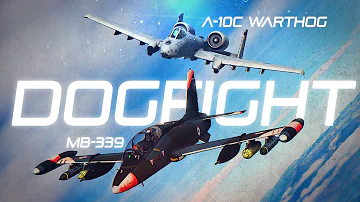 MB-339 Aermacchi VS A-10 Warthog DOGFIGHT | Digital Combat Simulator | DCS |