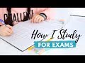 How I Study for Exams | Study Plan, Revision Methods & Exam Tips