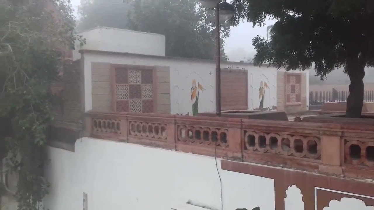 bikaner fog