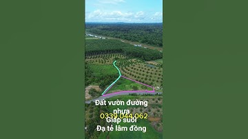 Đất vườn đường nhựa giáp suối đầu tư sinh thái ở lâm đồng #batdongsan #dangtrongnhanbds