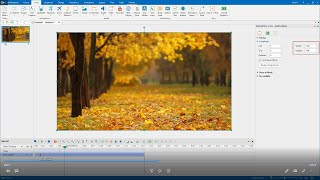 Avoid Zooming When Previewing Projects - ActivePresenter 8