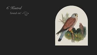 Red Dot Award: Design Concept -  Song of Bird