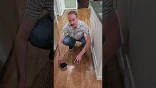 Kitchen “composter" dehydrated food waste vs. compost