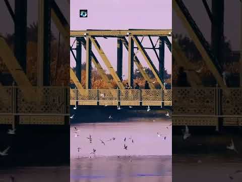 جسر الفلوجه القديم كورنيش الفلوجة وجمال الطيور