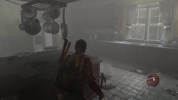 The last of us remastered part 15