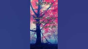 تلاوة تهز القلوب بدعاء المؤمنين آية 101من سورة يوسف بصوت مشاري راشد العفاسي
