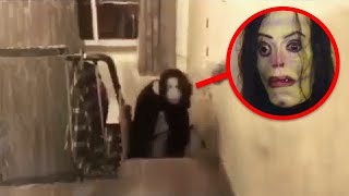 Absolutely WILD Encounters (Scary Videos)