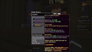 Hypixel Skyblock Flipping Mod   Not Enough Coins Showcase  working 2023 not bannable