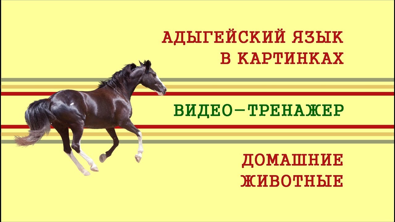 адыгейский алфавит. слова на адыгейском языке. стихотворение про адыгею. адыгейский алфавит с произношением. адыгейский алфавит буквы.