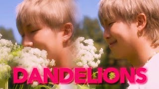 Dandelions - Namjoon FMV (slowed )