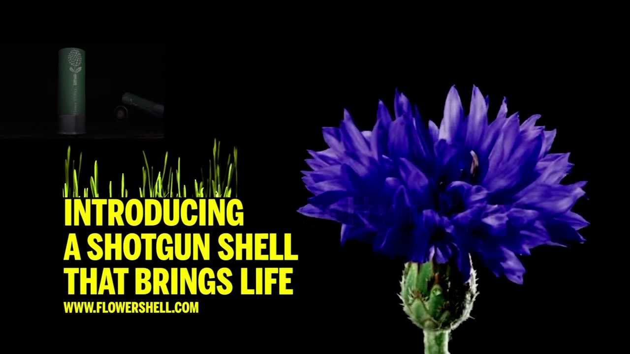 Flower Shell Shotgun Gardening - Business Insider