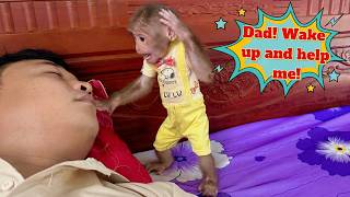 What Happened That Made Lulu Rush to Dad for Help?