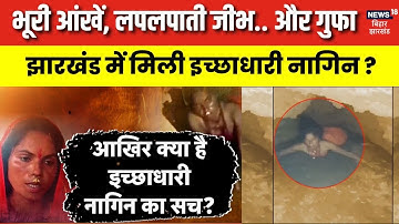 Viral Video : झारखंड में मिली इच्छाधारी नागिन ? | Breaking News | Top news | Jharkhand News | Nagin