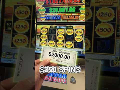 Spela MegaRich Online Casino i Sverige - Välkommen till världen av onlinecasinospel