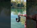 Fishing Secrets You Didn’t Even KNOW Existed! #shorts #fishing #fallintoshorts
