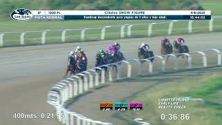 Vidéo de la course PMU CLASICO SNOW FIGURE